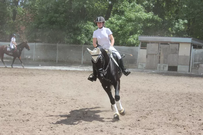 Конный клуб "Алан"