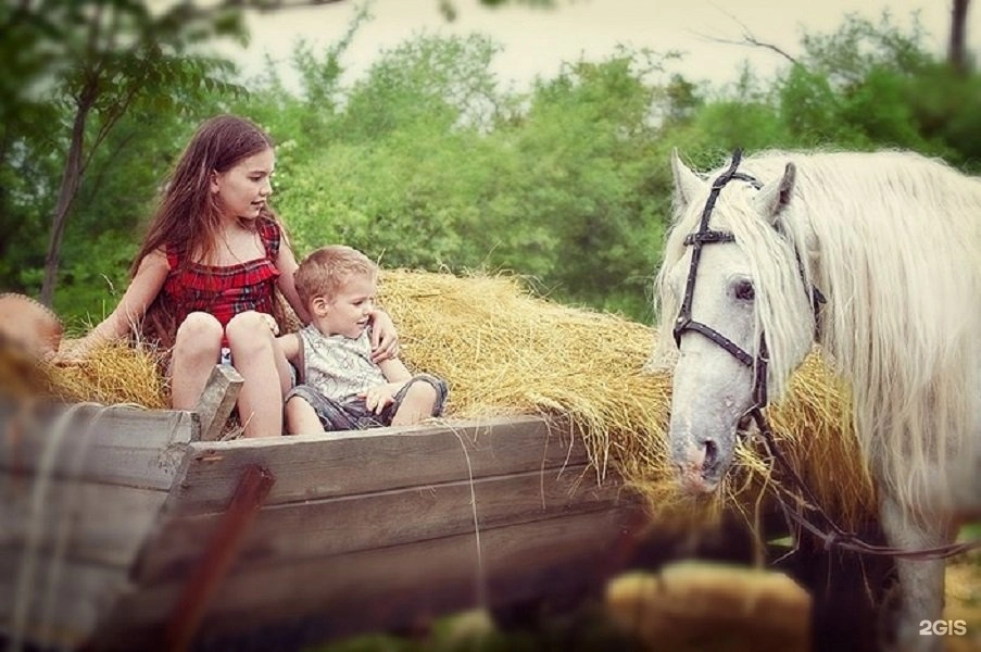  Конный клуб "Дом белой лошади"