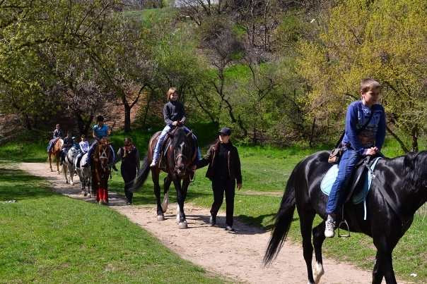  Конный клуб "Дом белой лошади"