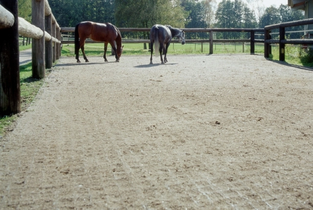 Конный клуб "Левада"