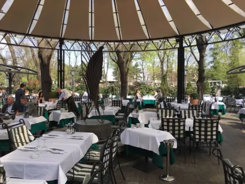 Madera  в  Белграде