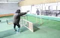Миниатюра 8