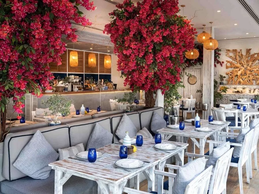 Отель Rixos Premium 5* в Дубаи: Бар, Отель, комфорт, Бассейн,