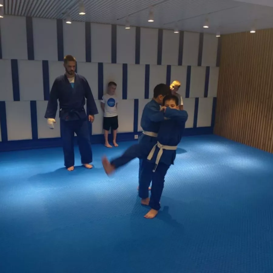 Спортивный клуб СТАНЬ ЧЕМПИОНОМ в Краснодаре: Развиваться, Карате, Гимнастика, Единоборства, Дети, Дисциплина, Хореография, Танцы,