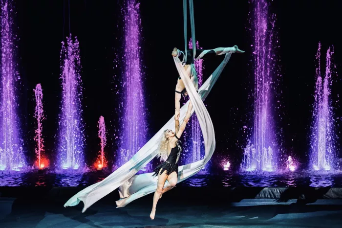 Цирк Никулина