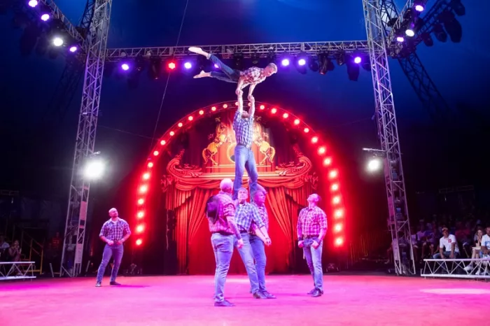 Цирк Никулина