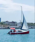 Миниатюра 3