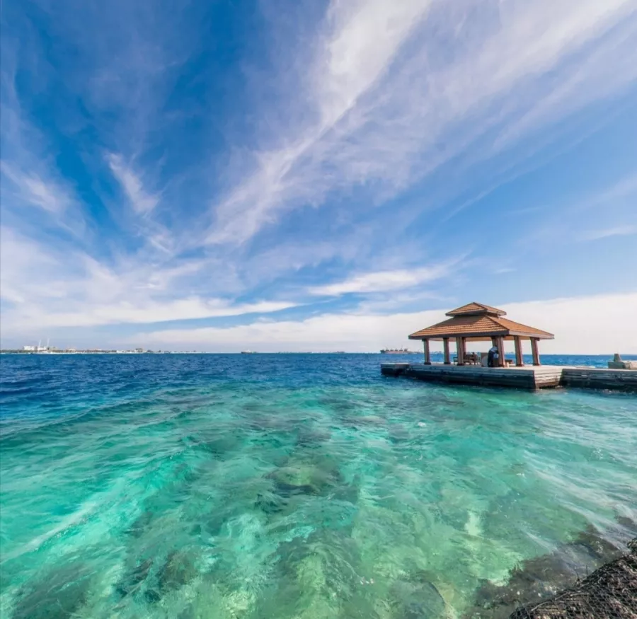 Дайвинг клуб Euro-Divers Kurumba (Diving club Euro-Divers Kurumba) в Мальдивах: Летняя Веранда, Напитки, Для Взрослых и Детей, Скат Манта, Подводный Скутер, Персональный тренер,