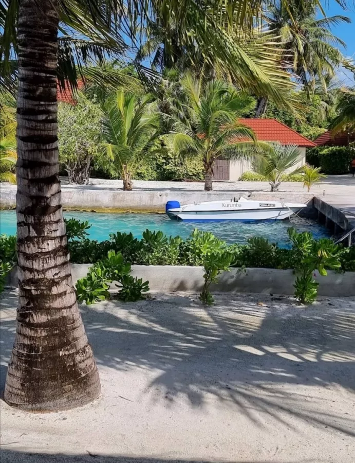 Дайвинг клуб Euro-Divers Kurumba (Diving club Euro-Divers Kurumba) в Мальдивах: Летняя Веранда, Напитки, Для Взрослых и Детей, Скат Манта, Подводный Скутер, Персональный тренер,
