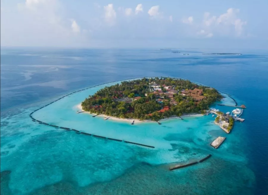 Дайвинг клуб Euro-Divers Kurumba (Diving club Euro-Divers Kurumba) в Мальдивах: Летняя Веранда, Напитки, Для Взрослых и Детей, Скат Манта, Подводный Скутер, Персональный тренер,