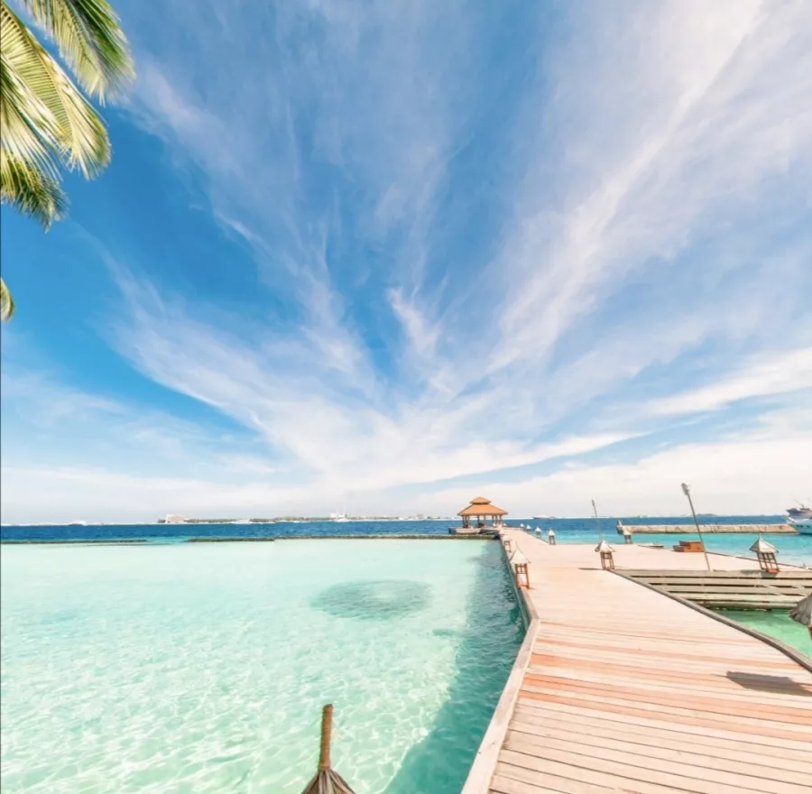 Дайвинг клуб Euro-Divers Kurumba (Diving club Euro-Divers Kurumba) в Мальдивах: Летняя Веранда, Напитки, Для Взрослых и Детей, Скат Манта, Подводный Скутер, Персональный тренер,