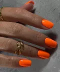 Миниатюра 12