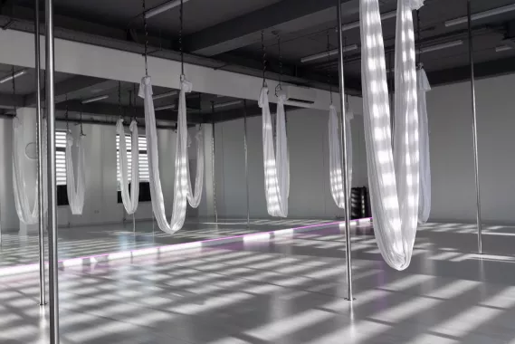 Танцевальная студия "Pole dance studio 2.8".