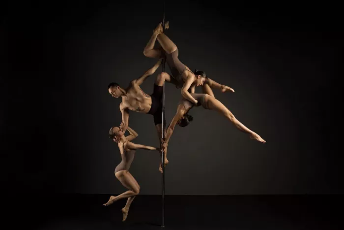 Школа танцев "Dance Pole Dance"