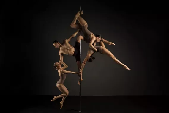 Школа танцев "Dance Pole Dance"