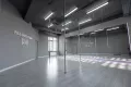 Миниатюра 13