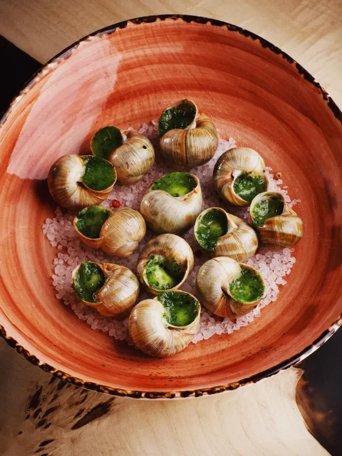 Бар Yummy Oysters в Анапе: Устрицы, Винный ресторан, Том-Ям, Мидии, Доставка,