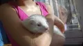 Миниатюра 7