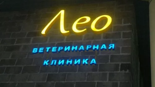 Ветеринарная клиника Лео  в  Нижнем Новгороде