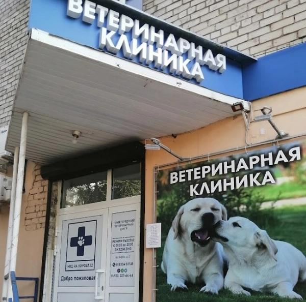 Нижегородский ветеринарный центр в Нижнем Новгороде: Диагностика, Лечение, Ветеринар, Клиника, Стериализация, Вакцинация,