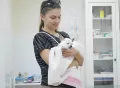 Миниатюра 8