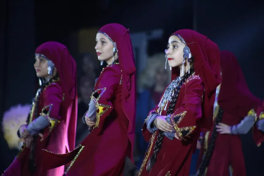 Ансамбль грузинского танца Метехи в Ростове-на-Дону: Танец, Грузинская культура, Народ, Движения, Georgian dance, Movement,