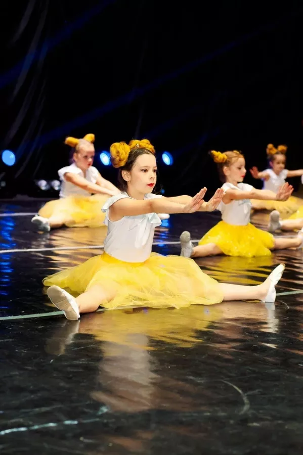 Мастерская танца FIESTA в Ростове-на-Дону: Балет, Фитнес, Восточные танцы, Гимнастика, Йога, Strip plastic, Go Go, Хип-хоп,