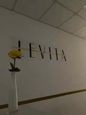 Студия балета и растяжки "LEVITA"