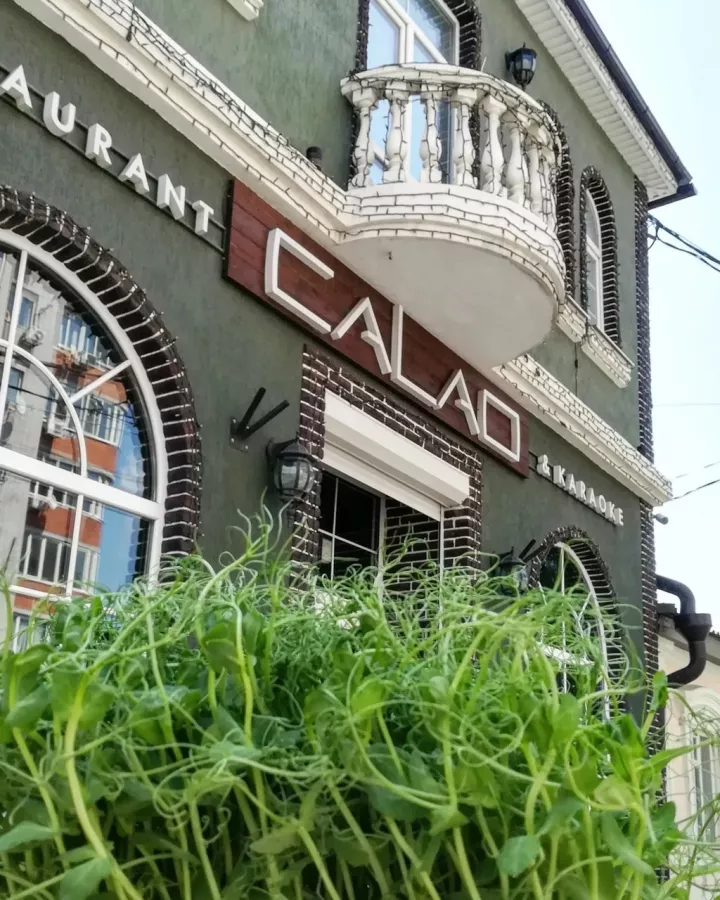 Бар Calao в Ростове-на-Дону: Караоке-клуб, Паб, Бар, Музыкально,