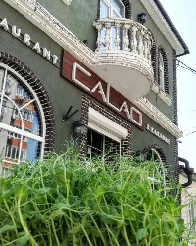 Бар Calao  в  Ростове-на-Дону