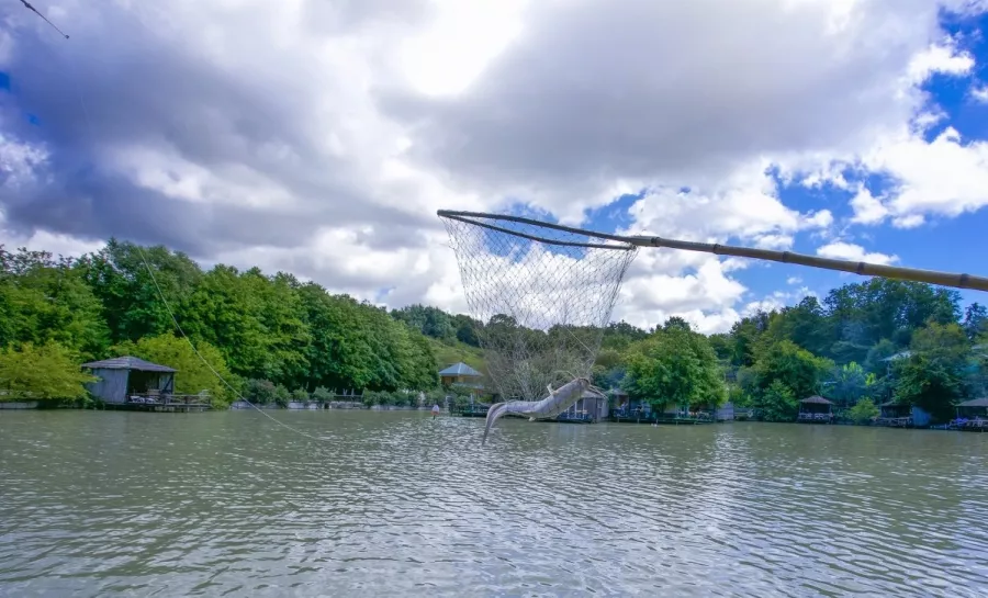 Агротуристический комплекс Ачигварское озеро в Адлере: Отдых, Бассейн, Бильярд, Купели, Рыбалка,