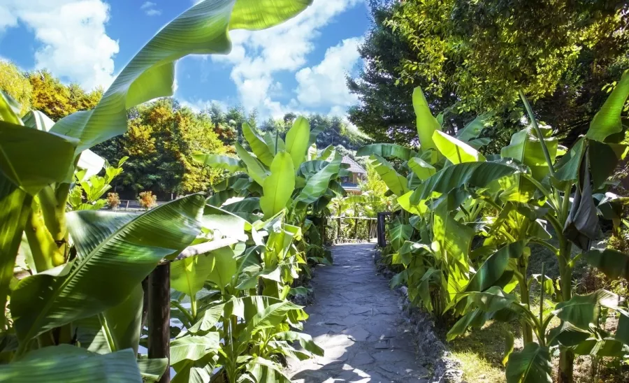 Агротуристический комплекс Ачигварское озеро в Адлере: Отдых, Бассейн, Бильярд, Купели, Рыбалка,