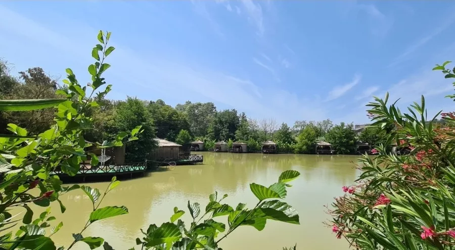 Агротуристический комплекс Ачигварское озеро в Адлере: Отдых, Бассейн, Бильярд, Купели, Рыбалка,