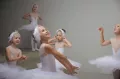 Миниатюра 6
