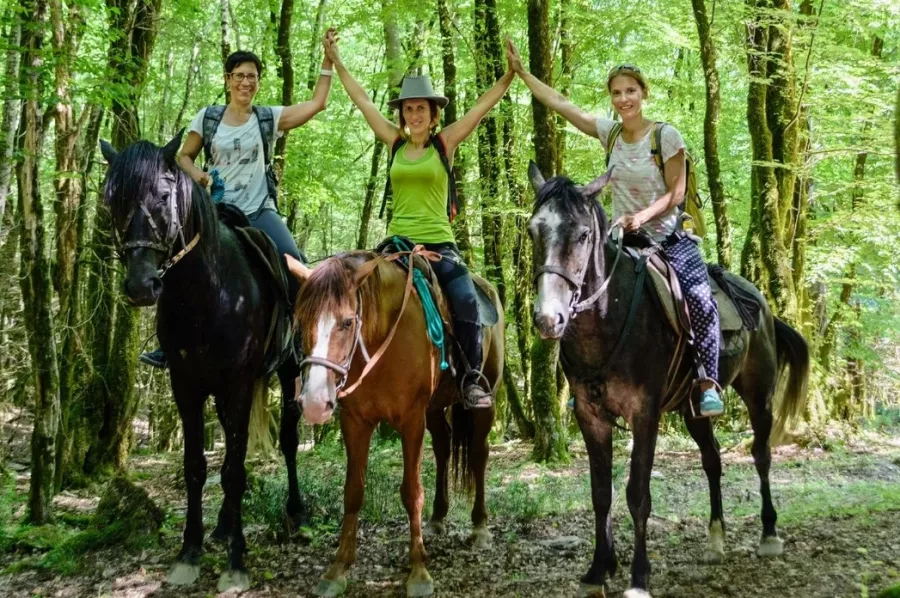 Экскурсии в Сочи и Абхазию в Адлере: Конные Прогулки, Красная Поляна, Рафтинг по Реке, Абхазия, Дайвинг, Джип Тур, Квадроциклы, Термальный Источник,
