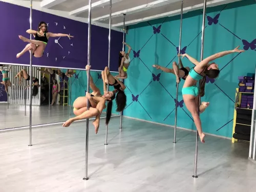 Школа танцев Butterfly Pole Dance в Ростове-на-Дону
