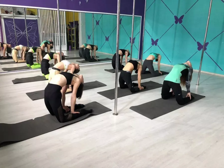 Школа танцев Butterfly Pole Dance в Ростове-на-Дону: Растяжка, Пилоны, Стрип-пластика, Exotic Pole Dance, Pole Dance,