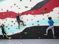 Миниатюра 8