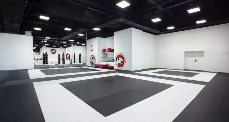Спортивный клуб Tiger в Москве: Боевые искусства, Персональный тренер, Массаж,