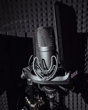 Студия звукозаписи "ANP Records"