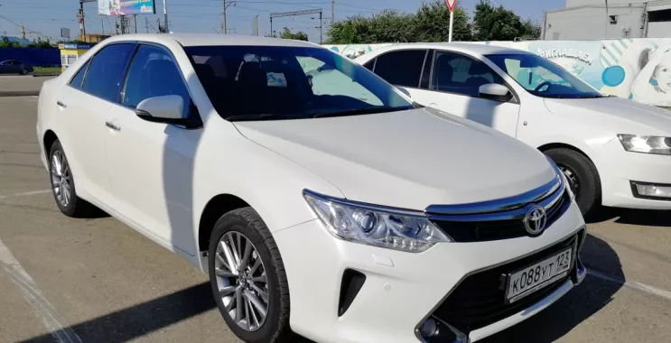 Прокат авто "Bibicars"