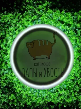 Котокафе "Лапы и Хвосты"