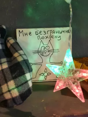Котокафе "Лапы и Хвосты"