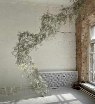 Фотостудия "Мох"