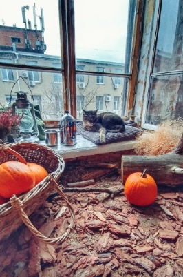 Фотостудия "Мох"