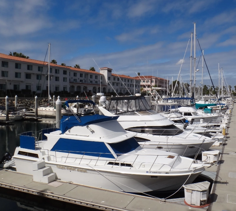 Яхты "Патриот"