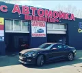 Миниатюра 7