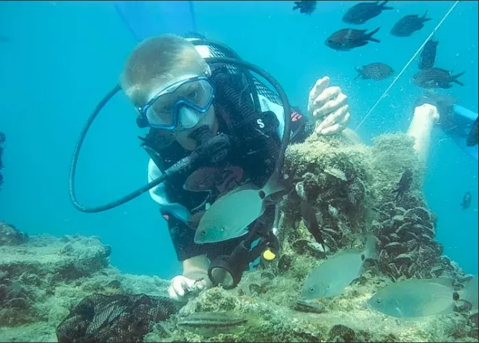 Дайвинг-клуб "Barracuda".