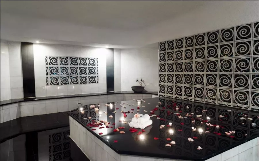 Фитнес клуб Palace Bridge Wellness Club в Санкт-Петербурге: Развитие,