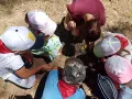 Миниатюра 8